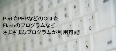 PerlやPHPなどのCGIやFlashのプログラムなど、さまざまなプログラムが利用可能